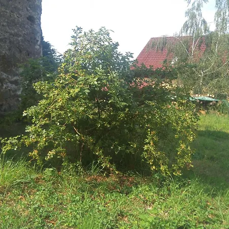 U Tety V Bystrém Dobruška