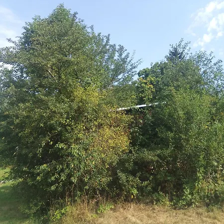 Appartement U Tety V Bystrém Dobruška